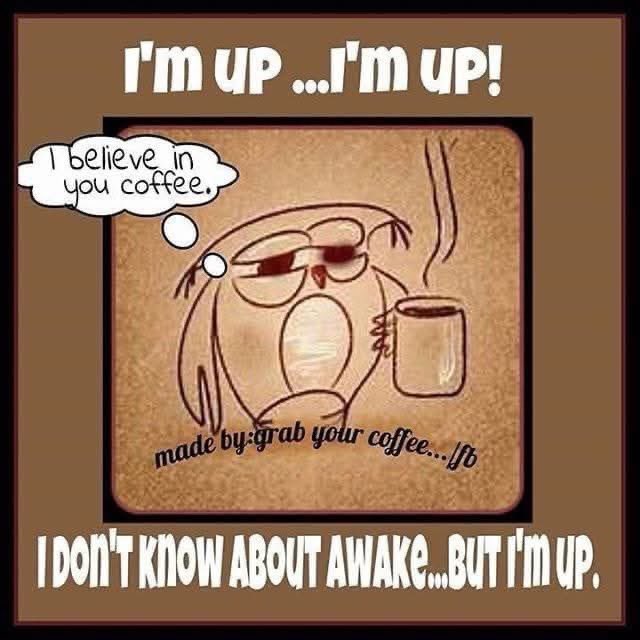 Good morning everyone. Friday Eve, yeah! That should put an extra step in your giddy up. Brew that elixir of life, put on that Spotify list and let the day unfold. Have an upbeat day.☕️🎶🤘🏻🎸🥁