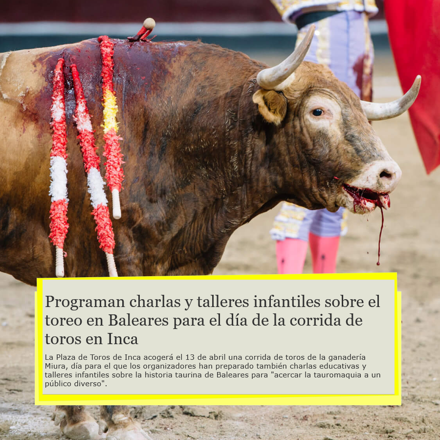 TALLERES INFANTILES PARA ESTO 👇🏽

Van a permitir la entrada gratis a menores hasta los 14 y previamente los adoctrinarán con "charlas y talleres infantiles" sobre violencia contra animales.

En Inca vulnerarán las objeciones del Comité <a href="/UNChildRights1/">UNChildRights</a>🇺🇳 y es GRAVÍSIMO.