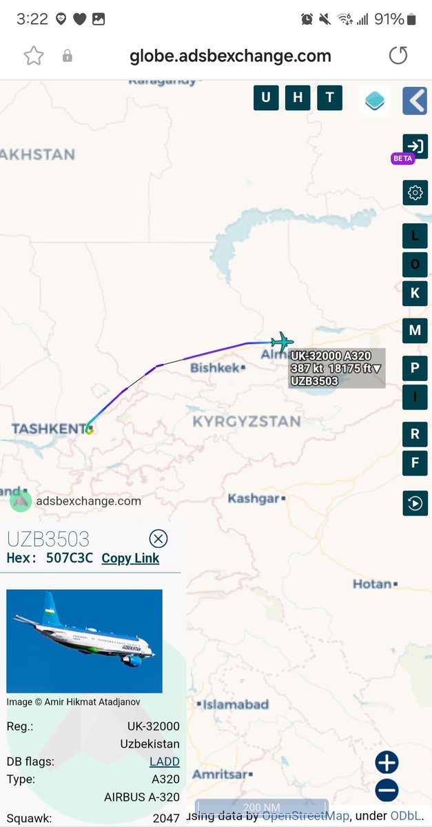 Borrowed7Time's tweet photo. Uzbekistan Govt A320-214 UK-32000 #507C3C as UZB3503 en route from Tashkent to Almaty for the EAEU Prime Ministers' meeting.
@sipjack1776 @Dinlas3 https://t.co/xrhDzypVbU