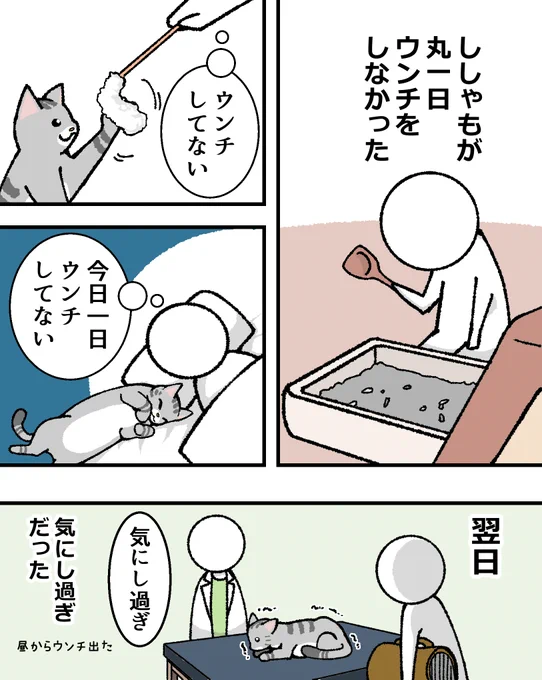 飼い始めの頃
#猫漫画  #漫画が読めるハッシュタグ 