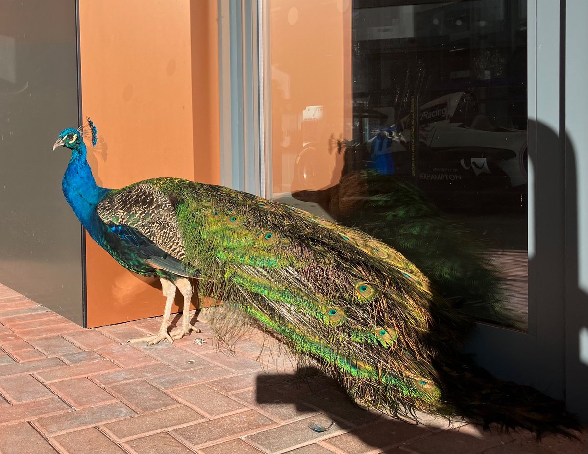 Come and visit us at the Refreshers Fair at Telford, if you are here today. Learn about all what Chaplaincy has to offer. 🌷