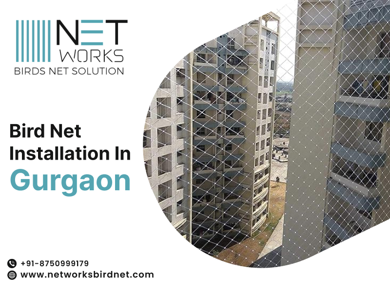 networksbirdnet's tweet image. Bird Net Installation in Gurgaon – Networks Bird Net
Book your bird net installation in Gurgaon today! 
📞 Contact 08750999179 now.
Visit: networksbirdnet.com/bird-net-insta…
#BirdNetInstallation #Gurgaon #NetworksBirdNet #BirdControl #PigeonNet #SafetyNets