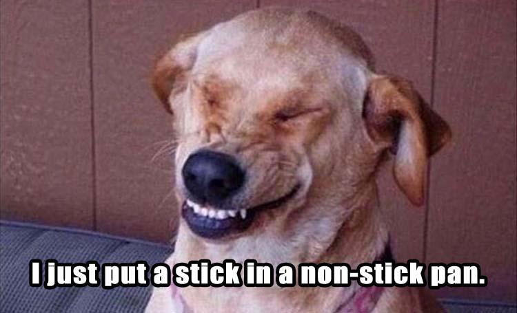 CustomStump's tweet photo. If we #Inspire you or you think we are 😝 #Funny, #Share our stuff!  

If you think we are REALLY FUNNY 📲 call Mike at (318) 455-6420 and tell him so! 

#CustomStumpTreeService #TreeMan 

Visit our website at 👉 https://t.co/dIVI2v0mJc. https://t.co/KYozBUpiUZ