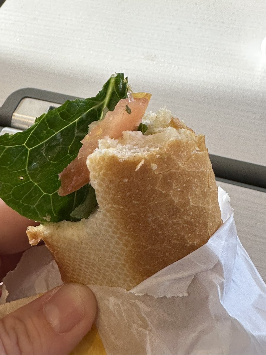 Jody Jodes tweet media