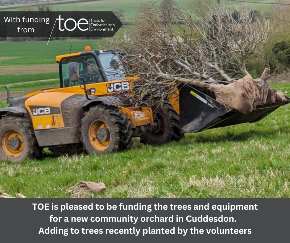 A community orchard is being planted by volunteers of the Orchard Committee of Cuddesdon and Denton Parish Council with a grant of £6450 by TOE from SODC CIL funding.    #CommunityOrchard #TreePlanting #Cuddesdon #VolunteersInAction @southoxfordshire