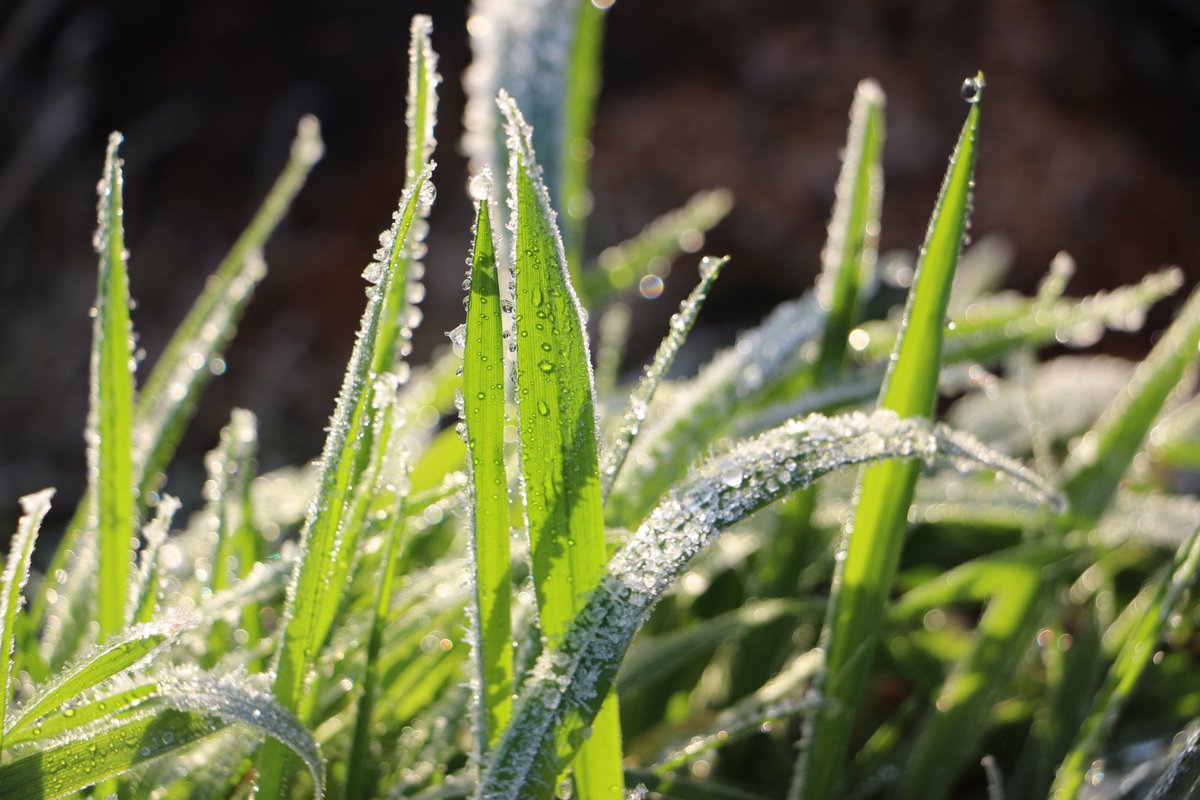 „Es ist nicht zu wenig Zeit, die wir haben, sondern es ist zu viel Zeit, die wir nicht nutzen.” (Seneca) #NatureTherapy #NaturePhotography #Mindfulness #happyness #stoic #Seneca #bewusstleben #Philosophy #naturelovers (tastymindset.blogspot.com)