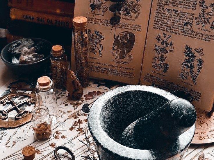 ㅤ

—————  drysana aela vasco aragón.
restarting. like &amp; repost to be moots. 🔮

❛ is that her ? is that the princess ? they
say she talks to the. . .dead. goodness !
can you believe it ? they say it's ‘cause
they think she's a. . .witch—a witch ! 🌿