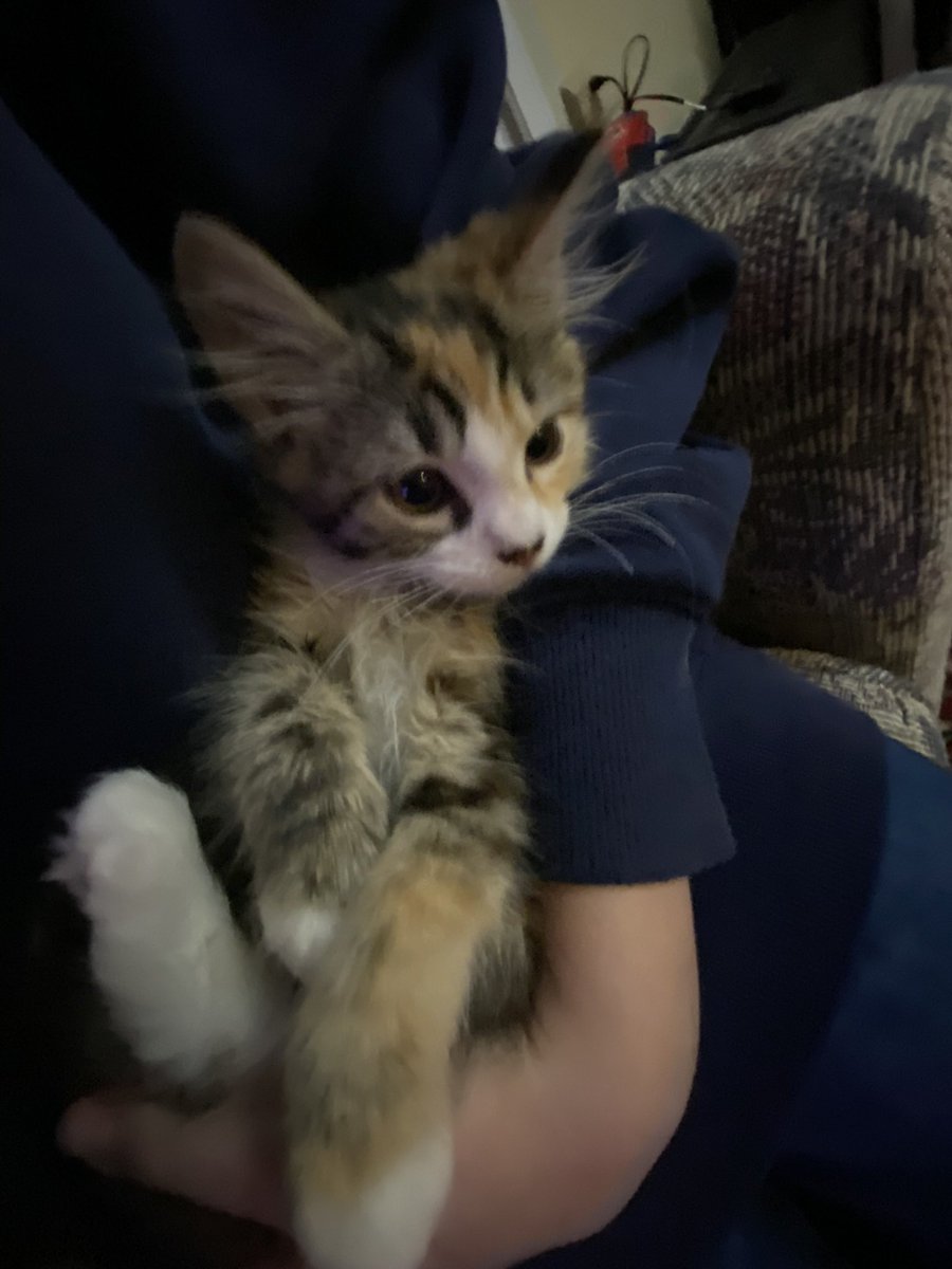 May | edtwt tweet media