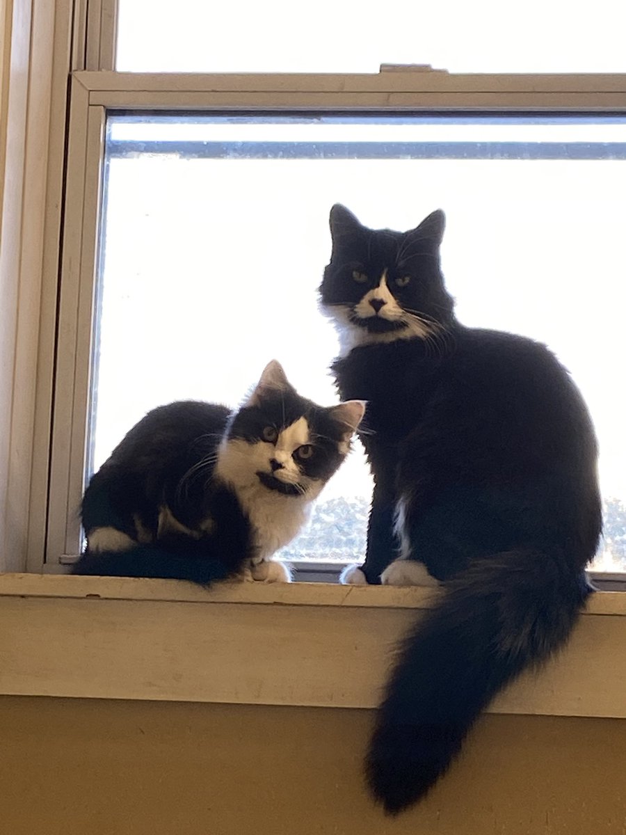 May | edtwt tweet media