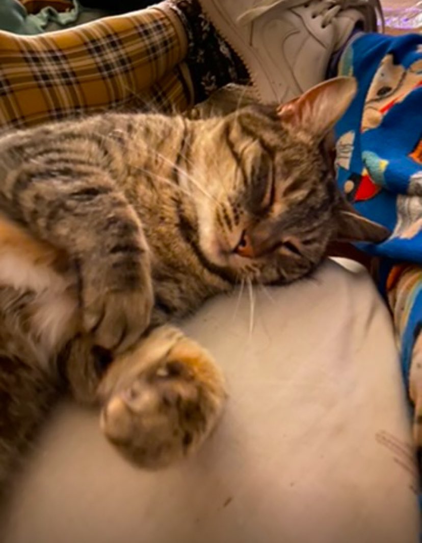 May | edtwt tweet media