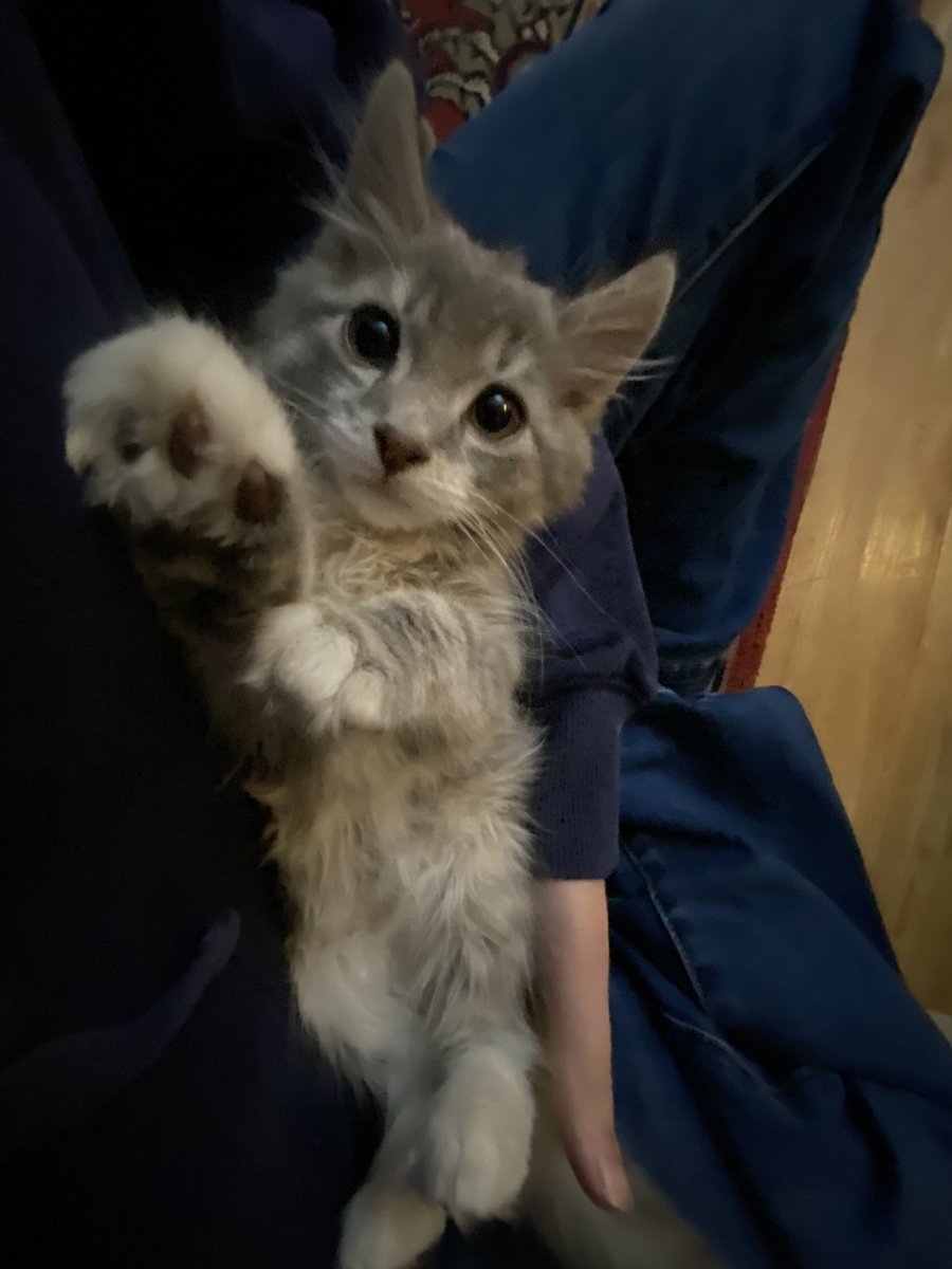 May | edtwt tweet media