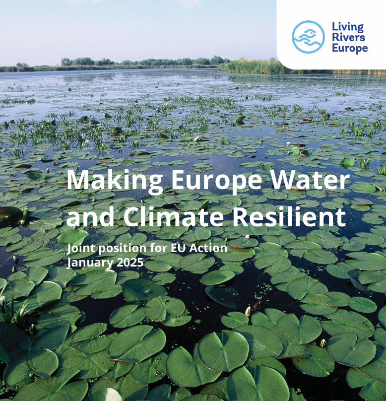 RecFishingEP tweet media