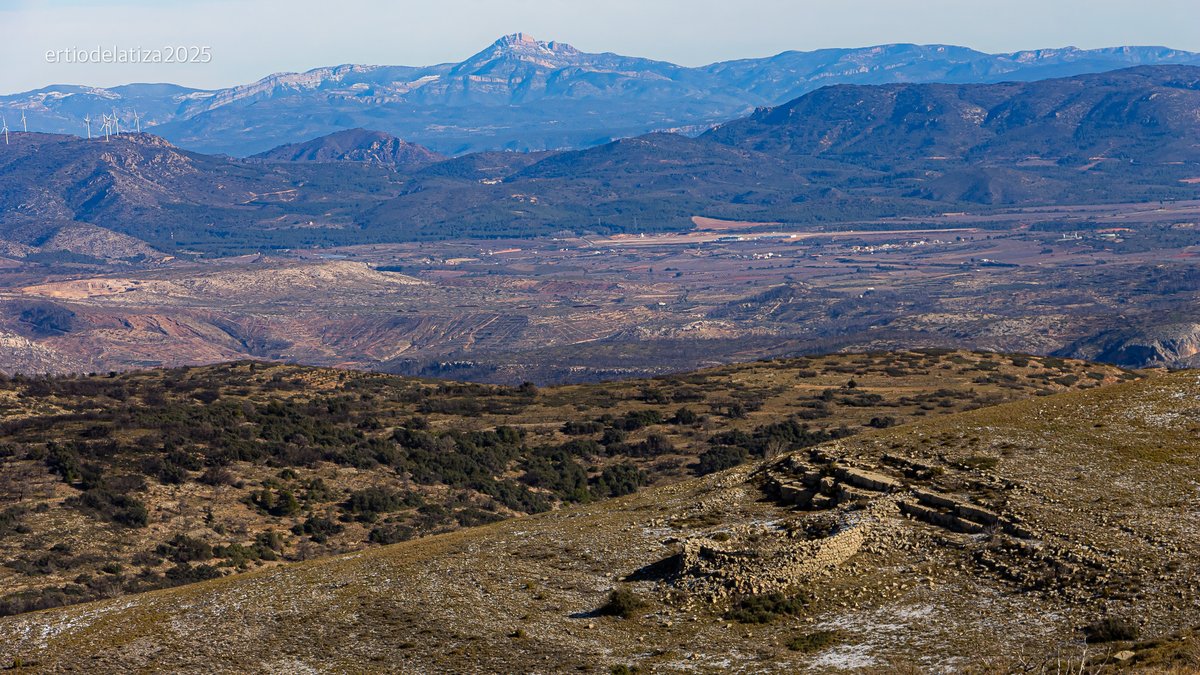 Francisco Bonilla Torres tweet media