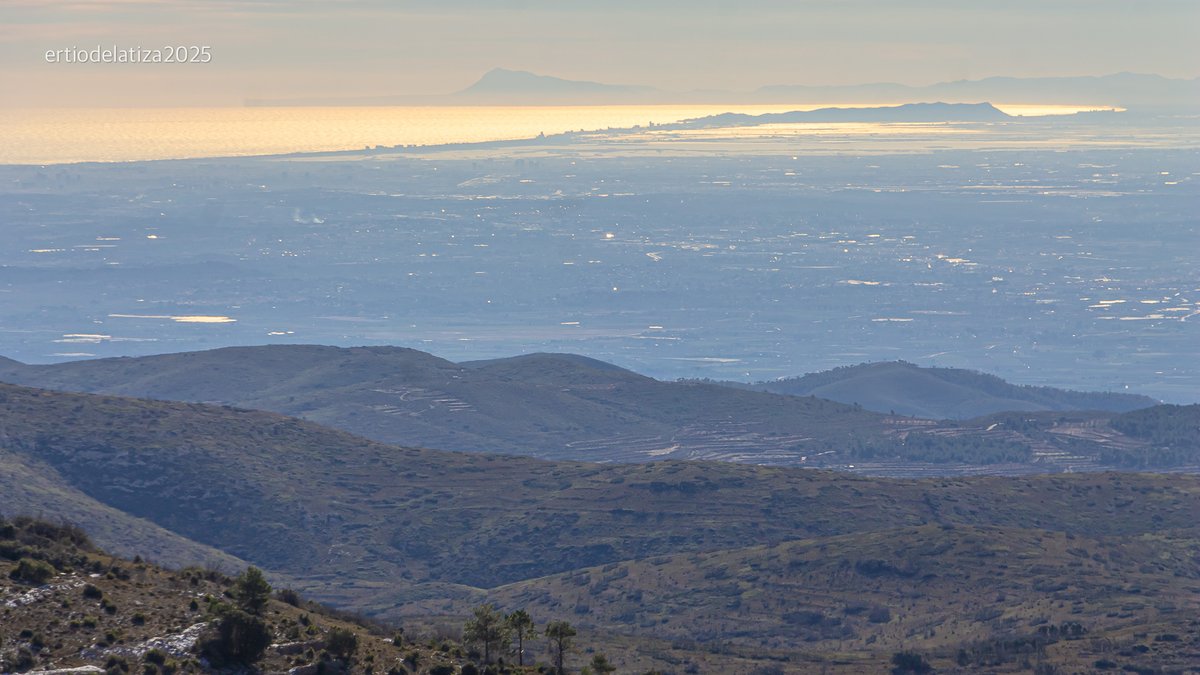 Francisco Bonilla Torres tweet media