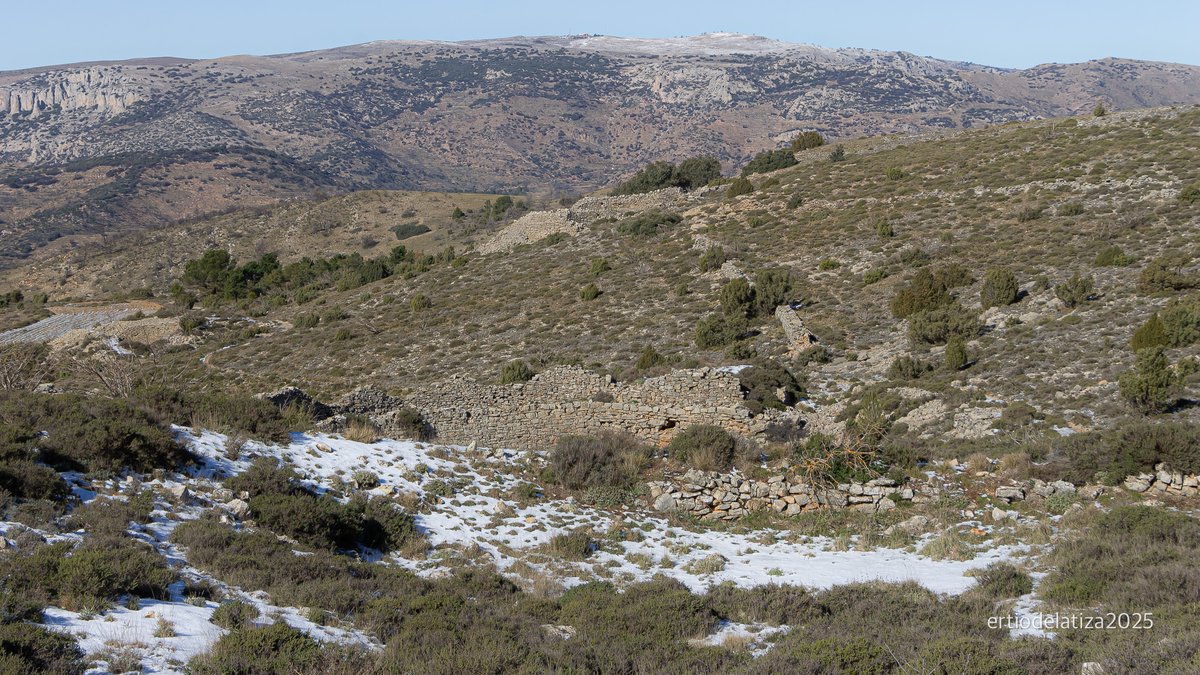 Francisco Bonilla Torres tweet media