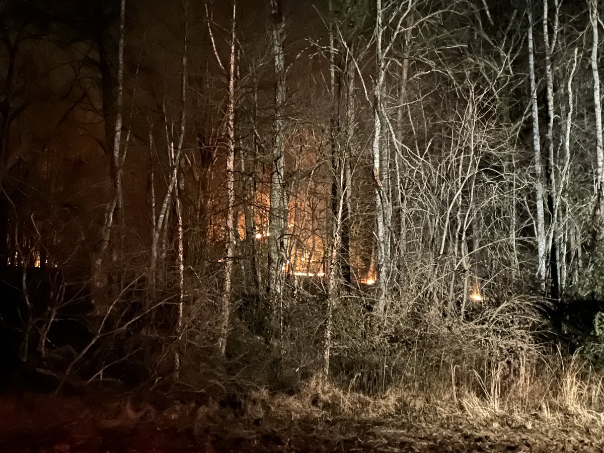 Gracee Mattiace tweet media