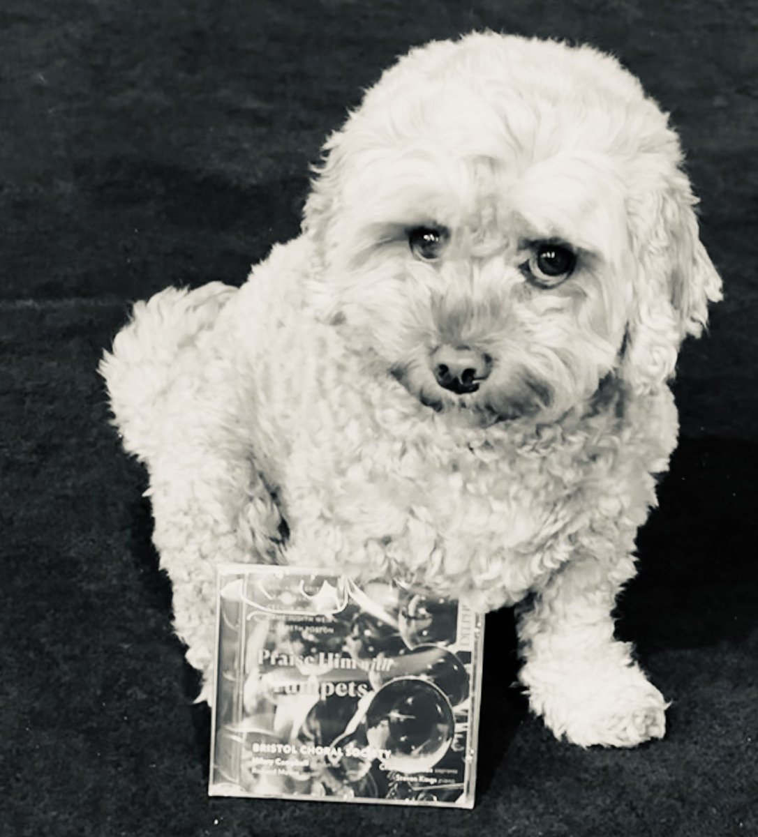 Today’s the day! @BristolChoral’s new <a href="/delphianrecords/">DELPHIAN</a> disc is out! Feat <a href="/Mobbsca/">Charlotte Mobbs 💙</a> <a href="/StevenKingsUK/">Steven Kings</a> #richardmoore <a href="/_JoHarris/">Jo Harris</a> <a href="/EvvaMizerska/">Evva Mizerska</a> #neilbrough <a href="/ewenman/">Emily Rose Wenman</a> <a href="/phillipamezzo/">Phillipa Thomas</a> #robjenkins #lawrencewhite 
Listen here : open.spotify.com/album/6Kvy8mvt…