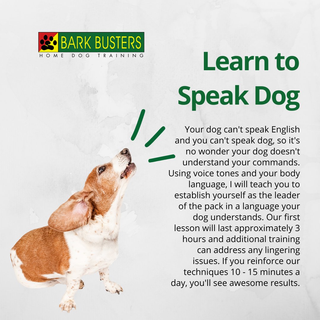 BarkBustersVC's tweet photo. 🐶 Does your pup need a manners makeover? 🐾 Bark Busters Ventura County’s expert training helps turn challenges into confidence—all in the comfort of your home! 🏡✨ Let’s make every moment with your dog a happy one. 💖
🔗 https://t.co/xplKHL0kBe

#BarkBusters #DogTraining https://t.co/gdF8NPhSrU