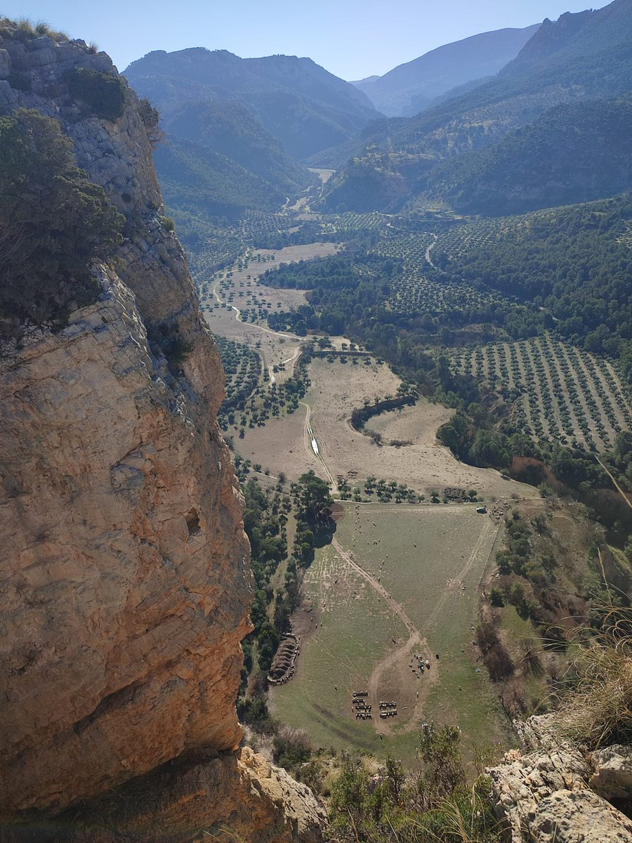 Vegas Bajas y Altas de Hacienda Santa Cristina de Otíñar hace unos días. Foto de nuestro amigo Álvaro desde la cima de la Bríncola. 🏞️📷
#otiñar #haciendasantacristina #jaen #oleoturismo #olivartradicional #vegas #vegasbajas #vegasaltas #paisajeagricola #brincola #mundorural