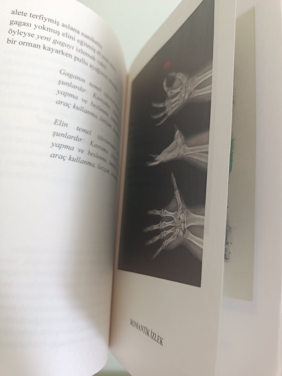 nautilleus's tweet photo. Yeni Gaga elimde 🥰 Güzel bir absürt dizeli şiirle açılan kitapta Mert Özden'in renkli basılmış şekilde görsel, asemik, gliç, nesne, buluntu, #xrayart, #textbasedart işleri var.
#vispo #experimantalpoetry https://t.co/LI0w0UwvkA