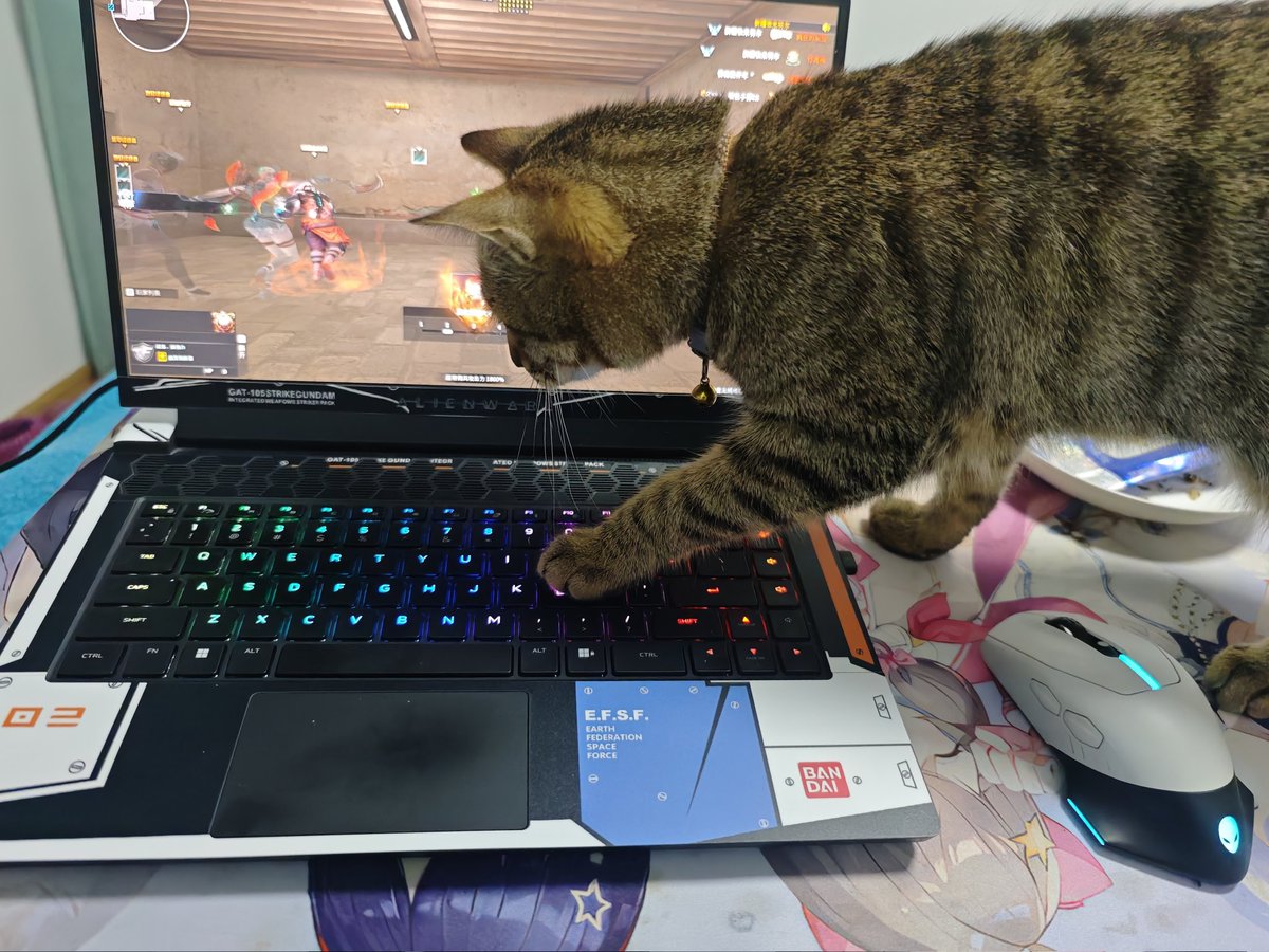 chenxiaoyuan44's tweet photo. 猫猫看我打游戏太菜了，拿着鼠标就上了☺️ https://t.co/PTGwXY3D5L