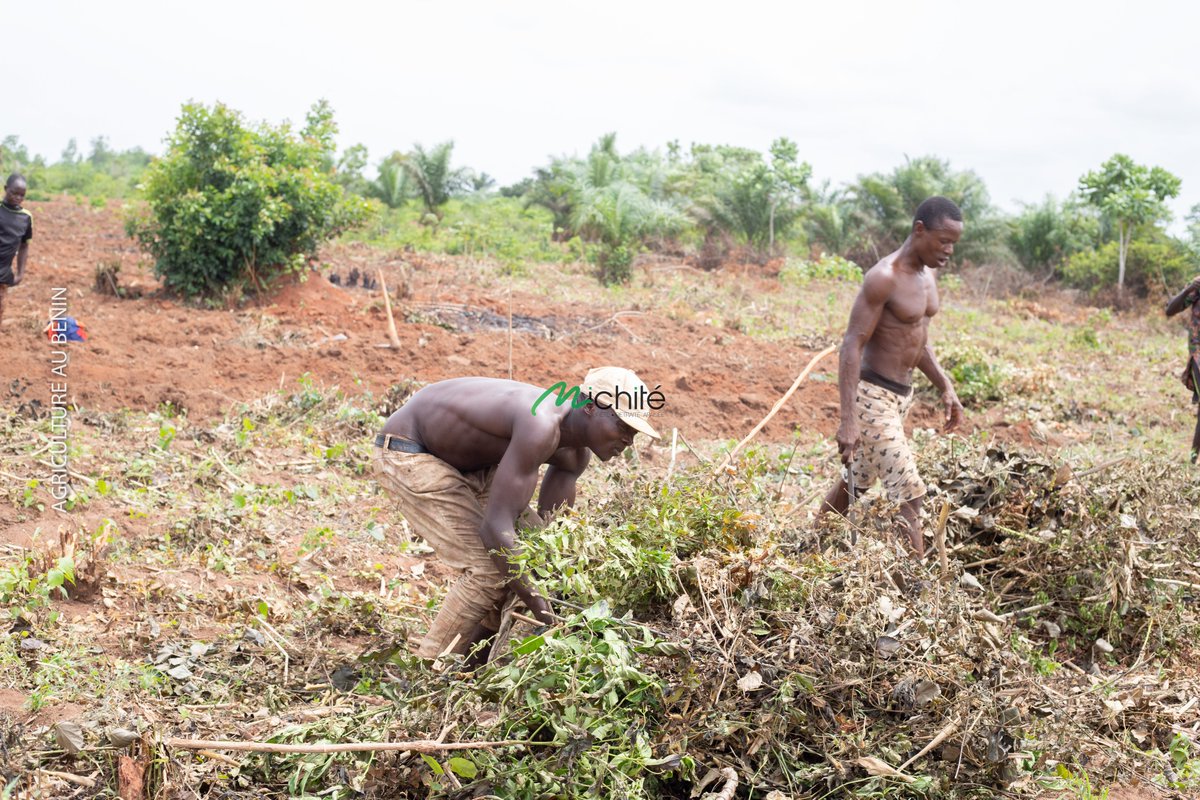 #notionagro

Utilisez-vous des pesticides naturels ?

Ces substances, dérivées de sources naturelles, sont employées pour lutter contre les ravageurs tout en réduisant l'impact environnemental.

#Michité
#agriculture
#agricultureaubenin
#notionagro