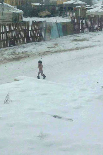 Унаач хүүхдийн эрх ярьж байгаа гишүүд яагаад гэр хороололд  өсөж өндийж байгаа хүүхдүүдийг тоодоггүй вэ?