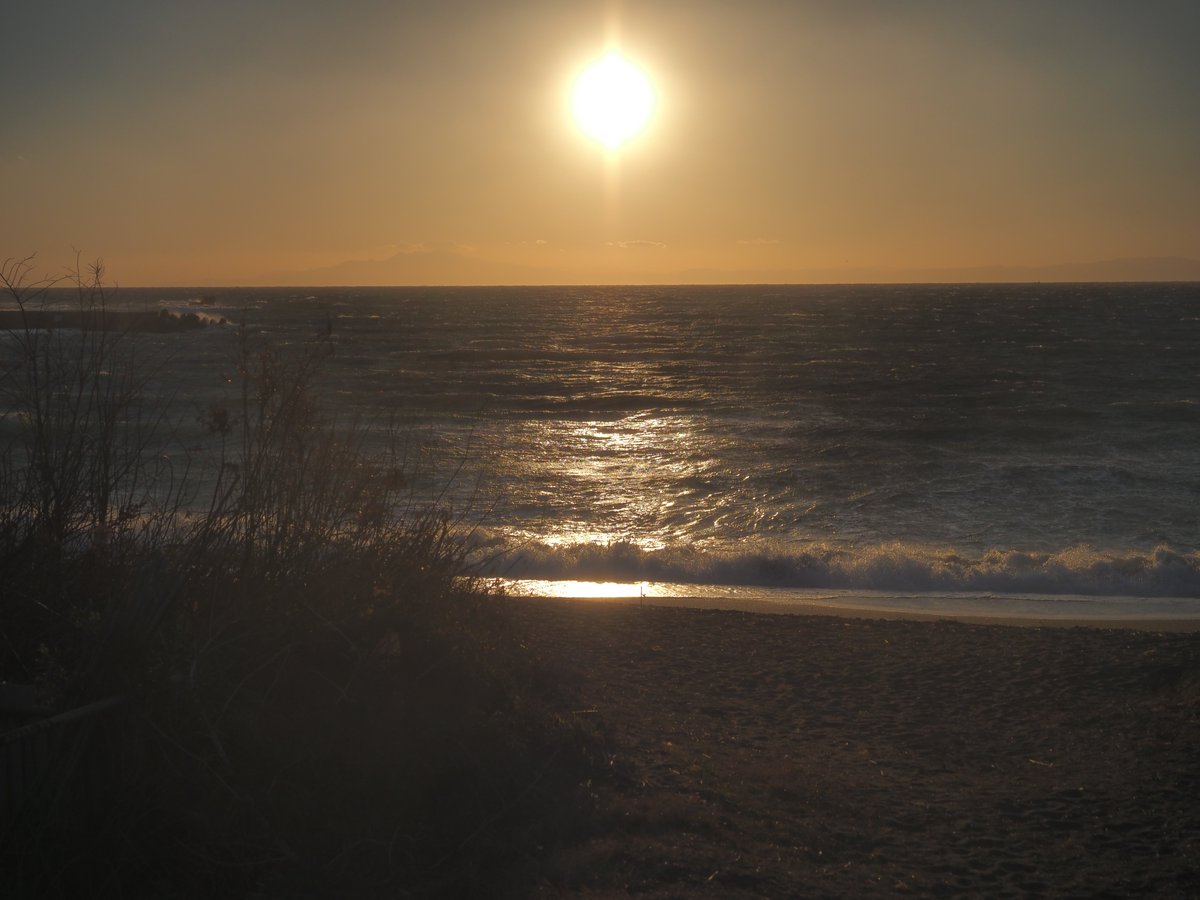 ライスサワー tweet media