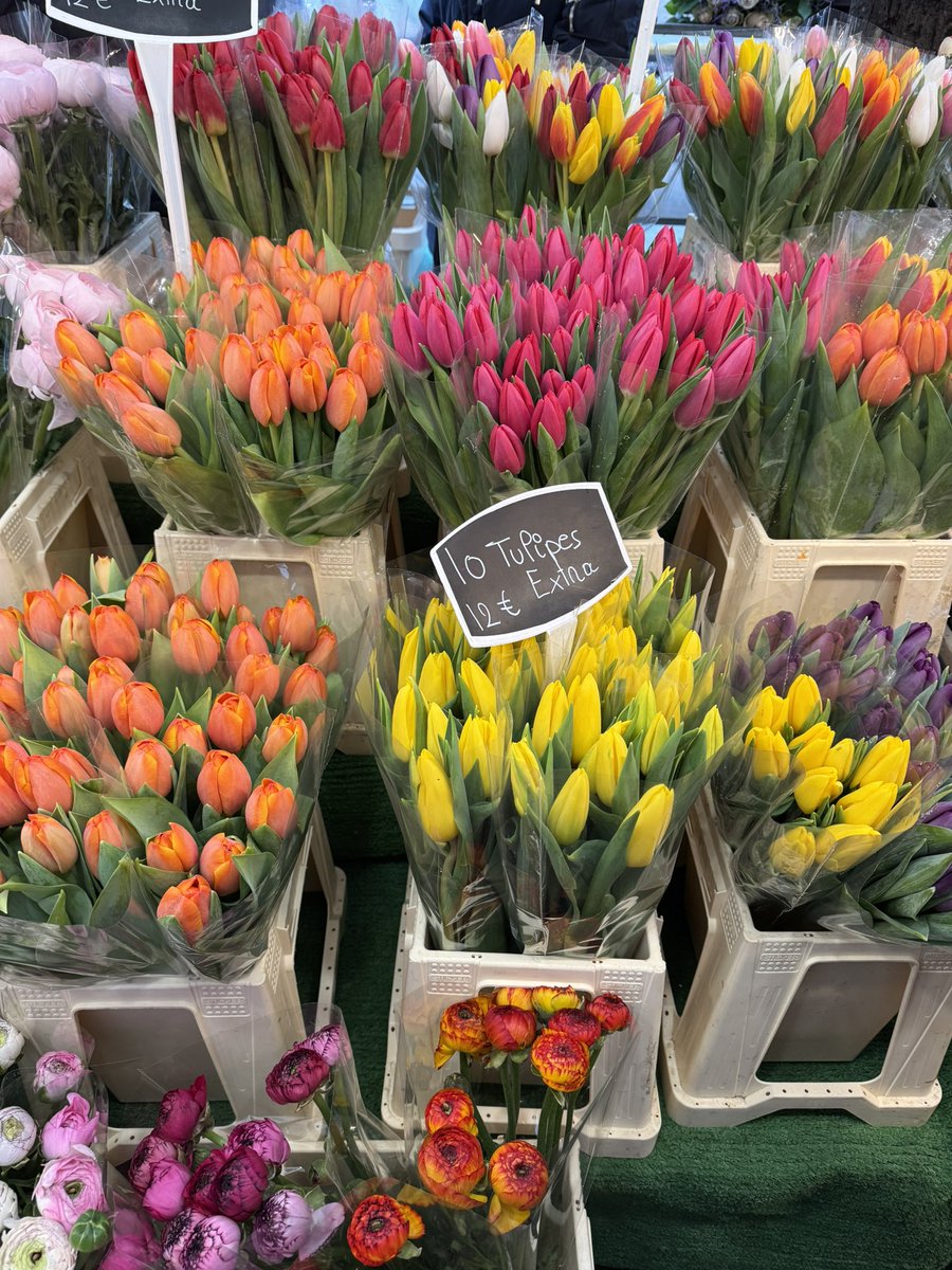 boite_tv's tweet photo. 春を感じるお花も買って
アパートに飾って
みなさんパリで暮らすを
満喫してます🤩 https://t.co/GUu5tMxLuh