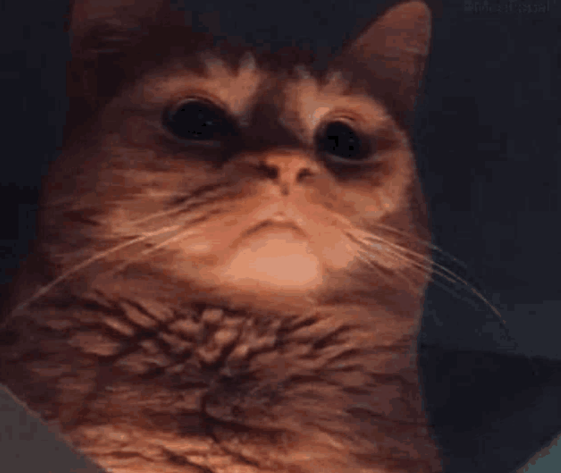 𝐋 𝐔 𝐂 𝐄 𝐑 𝐘 𝐒 tweet media