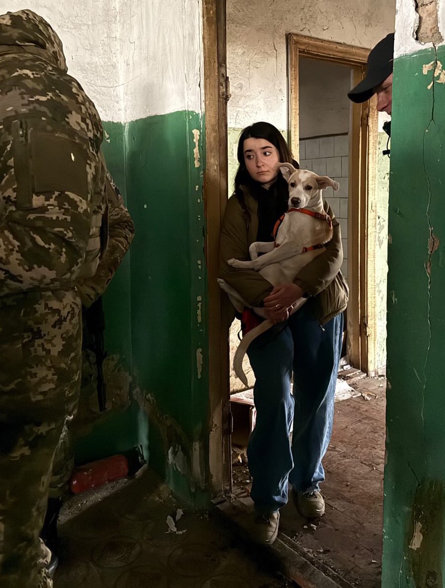 хелоу даркнес май олд френд
пес Покровськ вже так виріс, тільки гляньте на нього