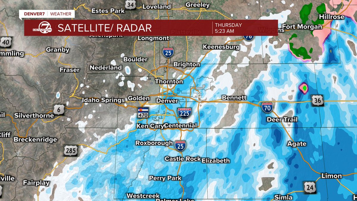 lisa hidalgo tweet media