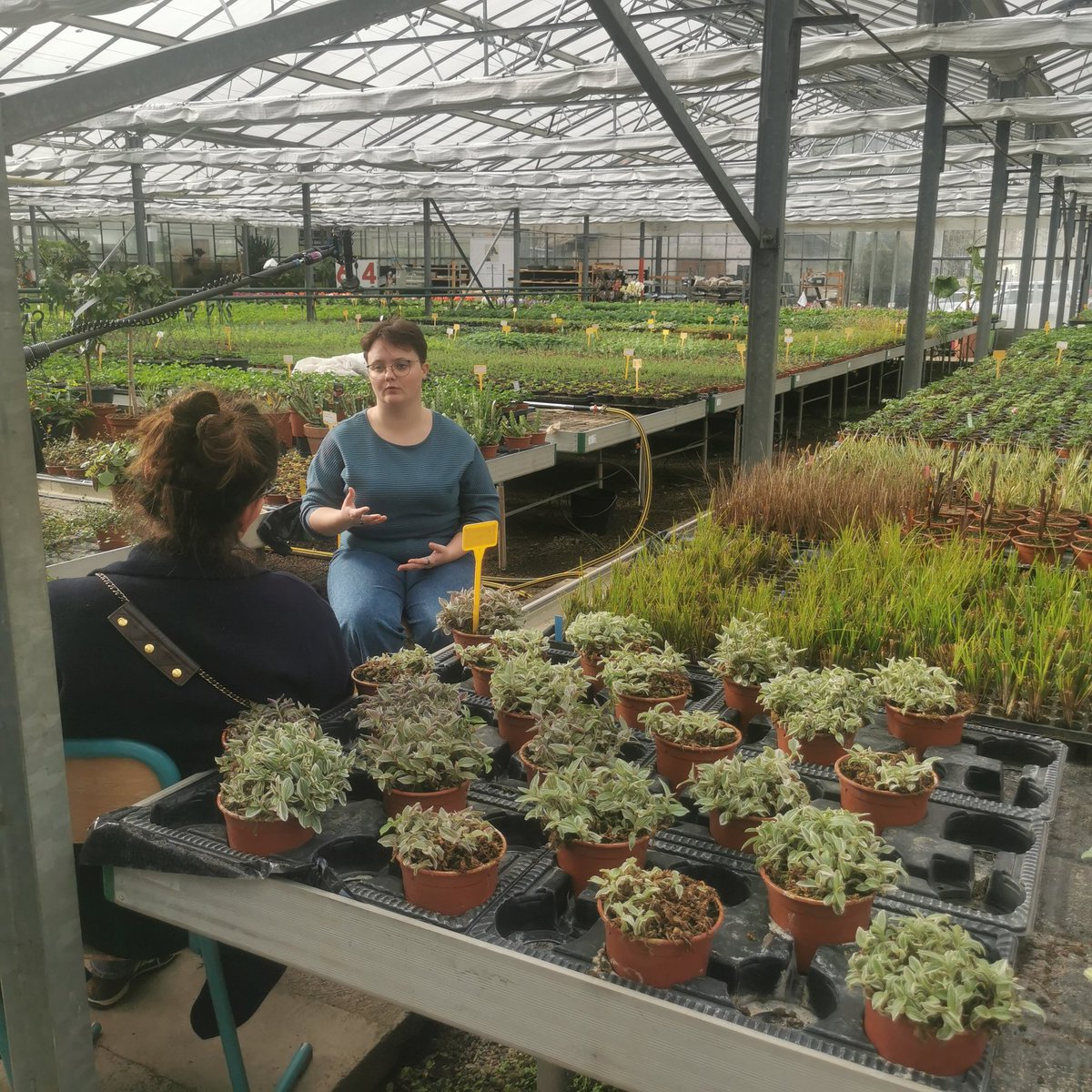 🎥 Silence on tourne!
"Ce que j'aime ici, c'est avoir la main dans la terre", interview de Flora, étudiante en BTS Métiers du Végétal qui a passé plus de 6 ans au lycée <a href="/CostaBeauregard/">Campus du Bocage - Lycée Costa de Beauregard</a> <a href="/Francetele/">France Télévisions</a>
#lyceeagricole #lyceepro #cneap #donbosco #costadebeauregard #chambery #savoie