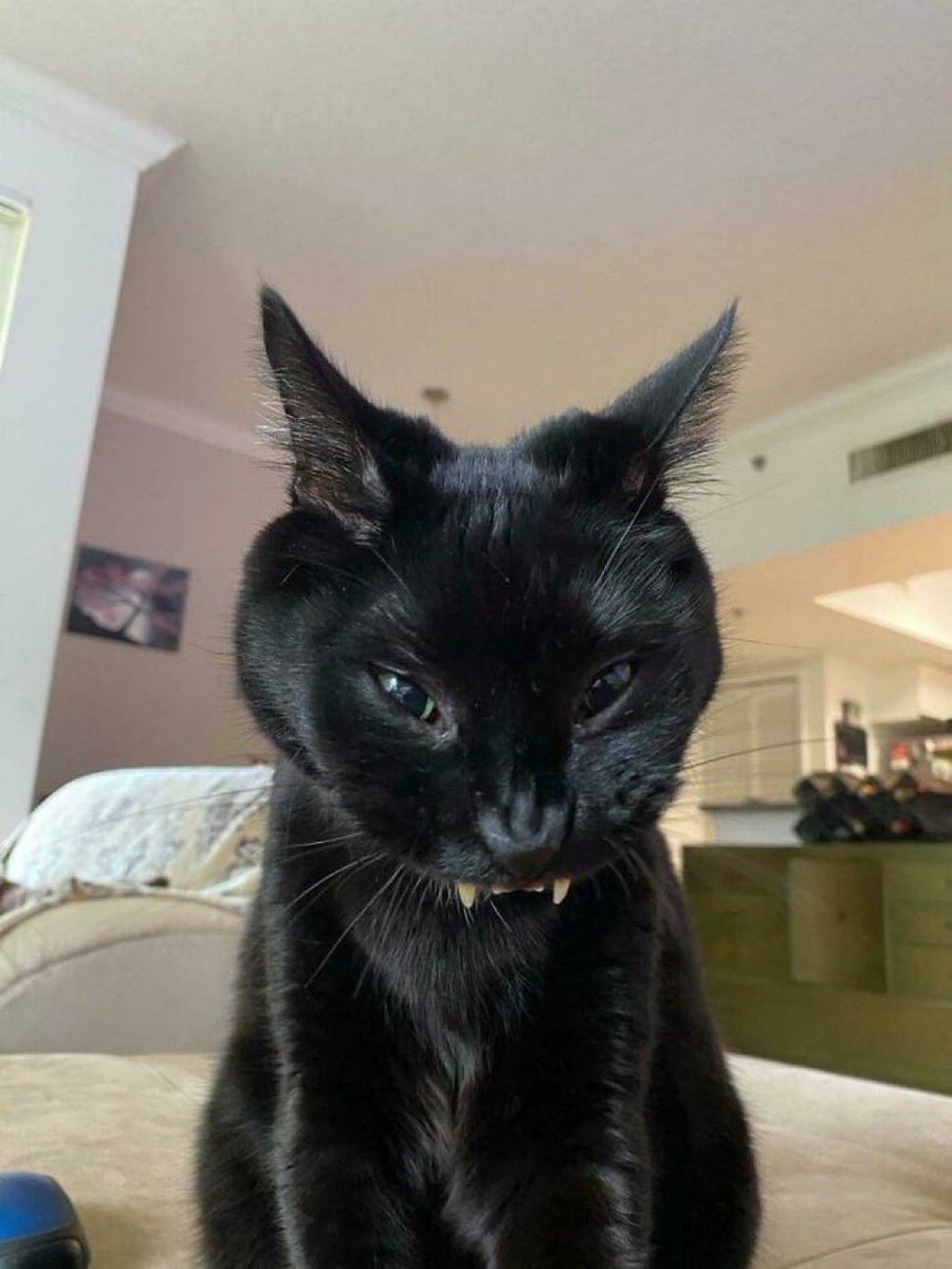 B L E S T tweet media