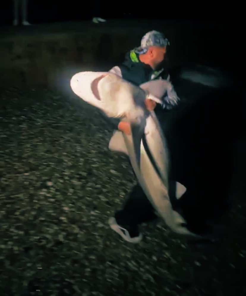 ocak ayinin verdigi bezmislik