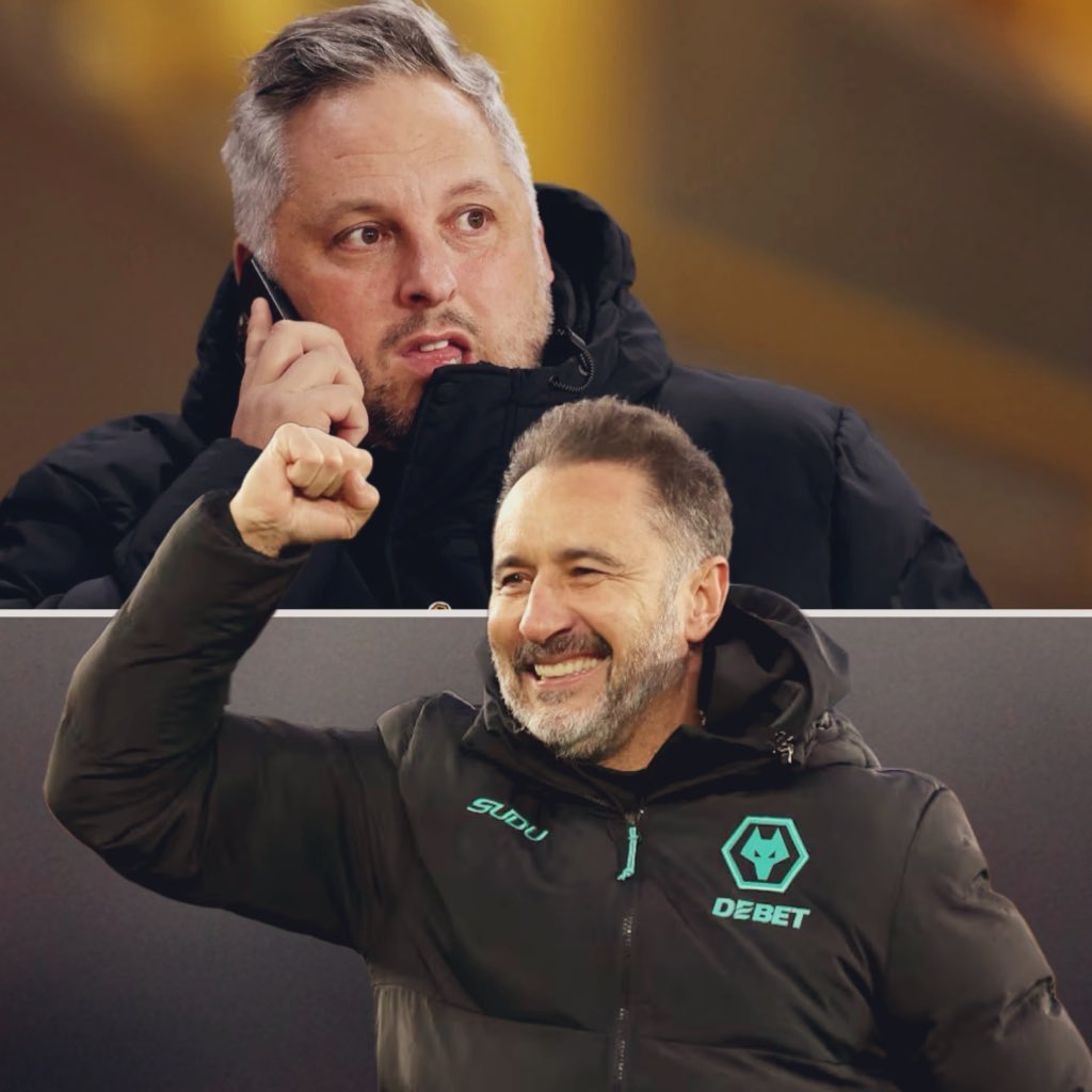 Talking Wolves tweet media