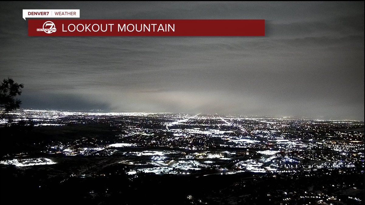 lisa hidalgo tweet media