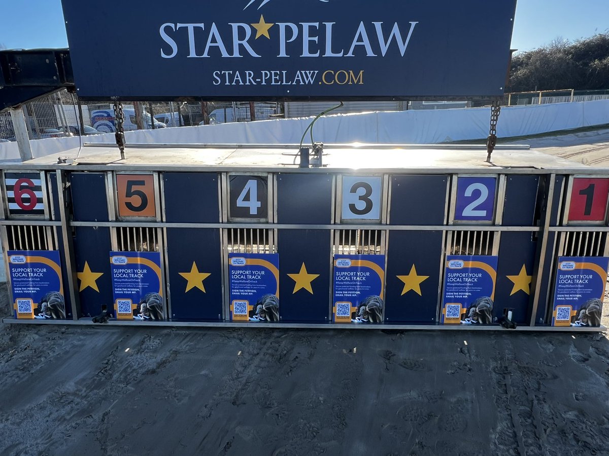 ✍️ SIGN THE PETITION

⭐️ Star Pelaw Racing Manager Dave Gray out in full force showing his support for the statutory levy to support greyhound welfare

✅ Sign here:
petition.parliament.uk/petitions/7022….