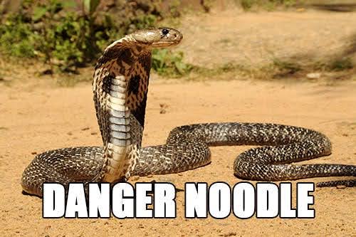 lightweightprod's tweet photo. Wait, so this Lunar New Year is the Year of the Snake? You mean this kind of snake? https://t.co/rSUoMJPOyb