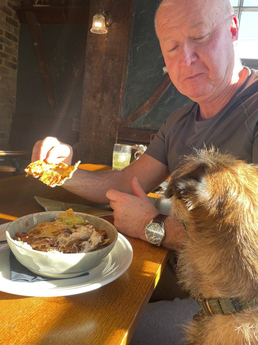 Reggie the Border Terrier tweet media