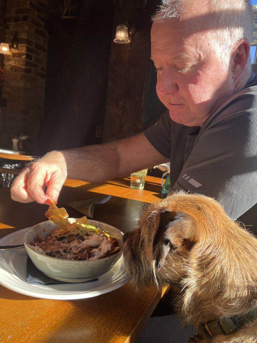 Reggie the Border Terrier tweet media