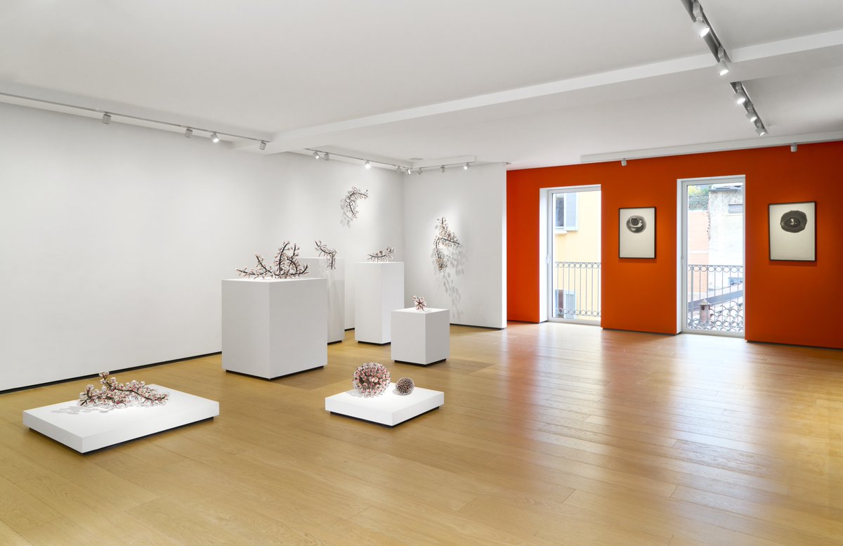 BuildingGallery's tweet image. #BUILDINGonview

"Giorgio Vigna. Cosmografia" 
🗓️January 30th - February 22nd, 2025
📍at BUILDING TERZO PIANO