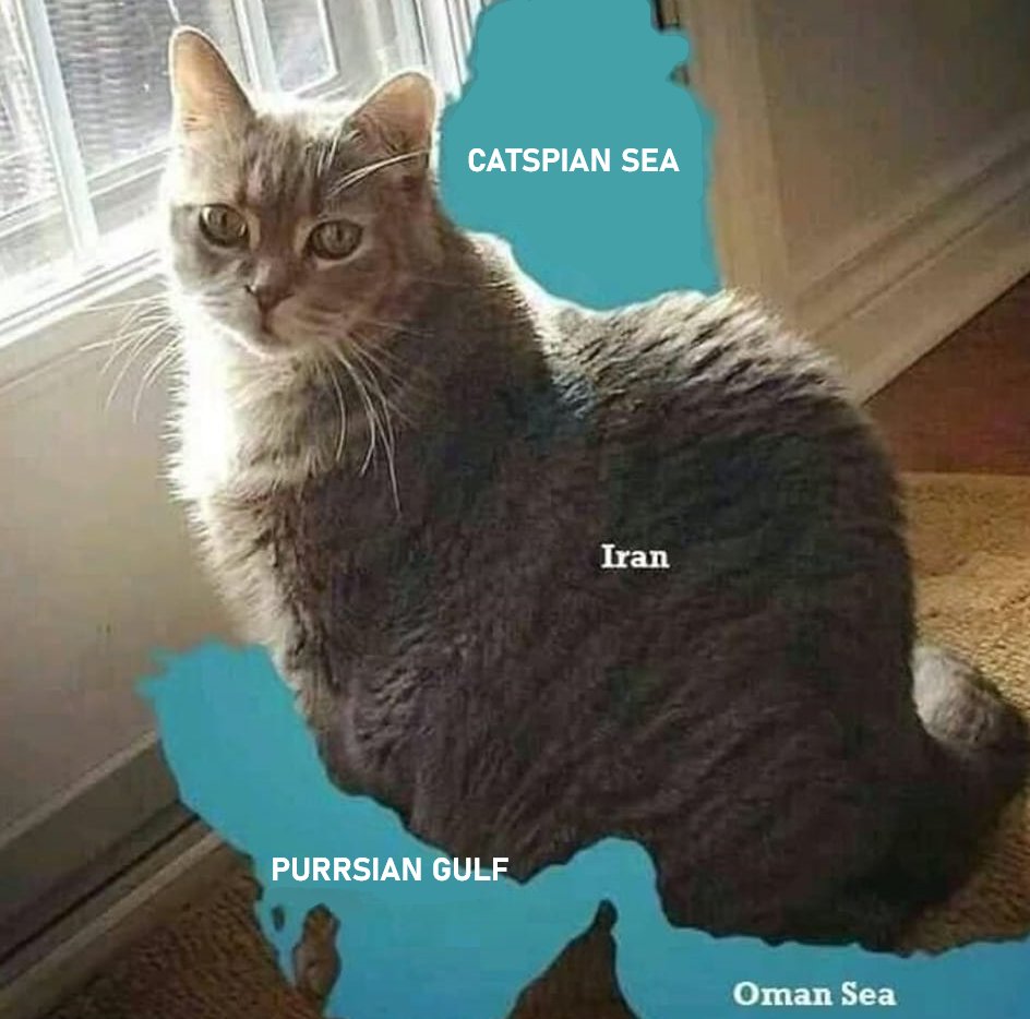 Terrible Maps tweet media