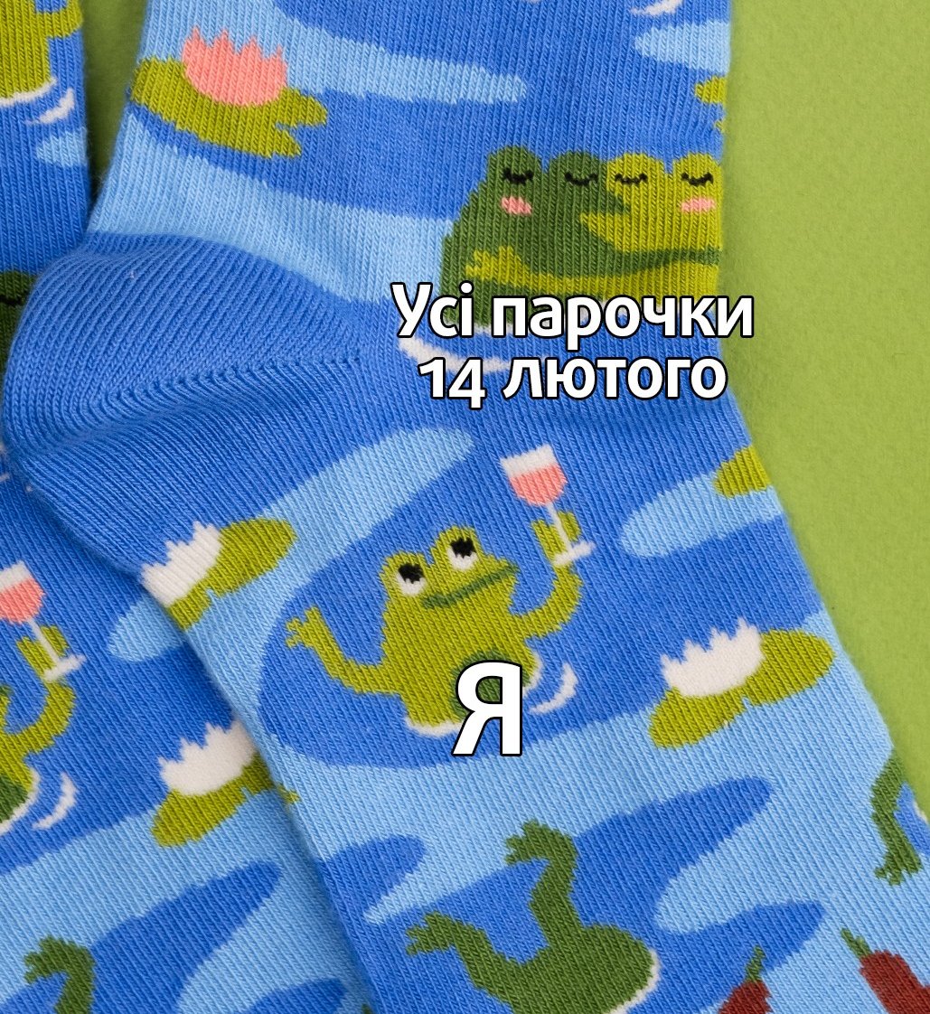 Dodo Socks tweet media