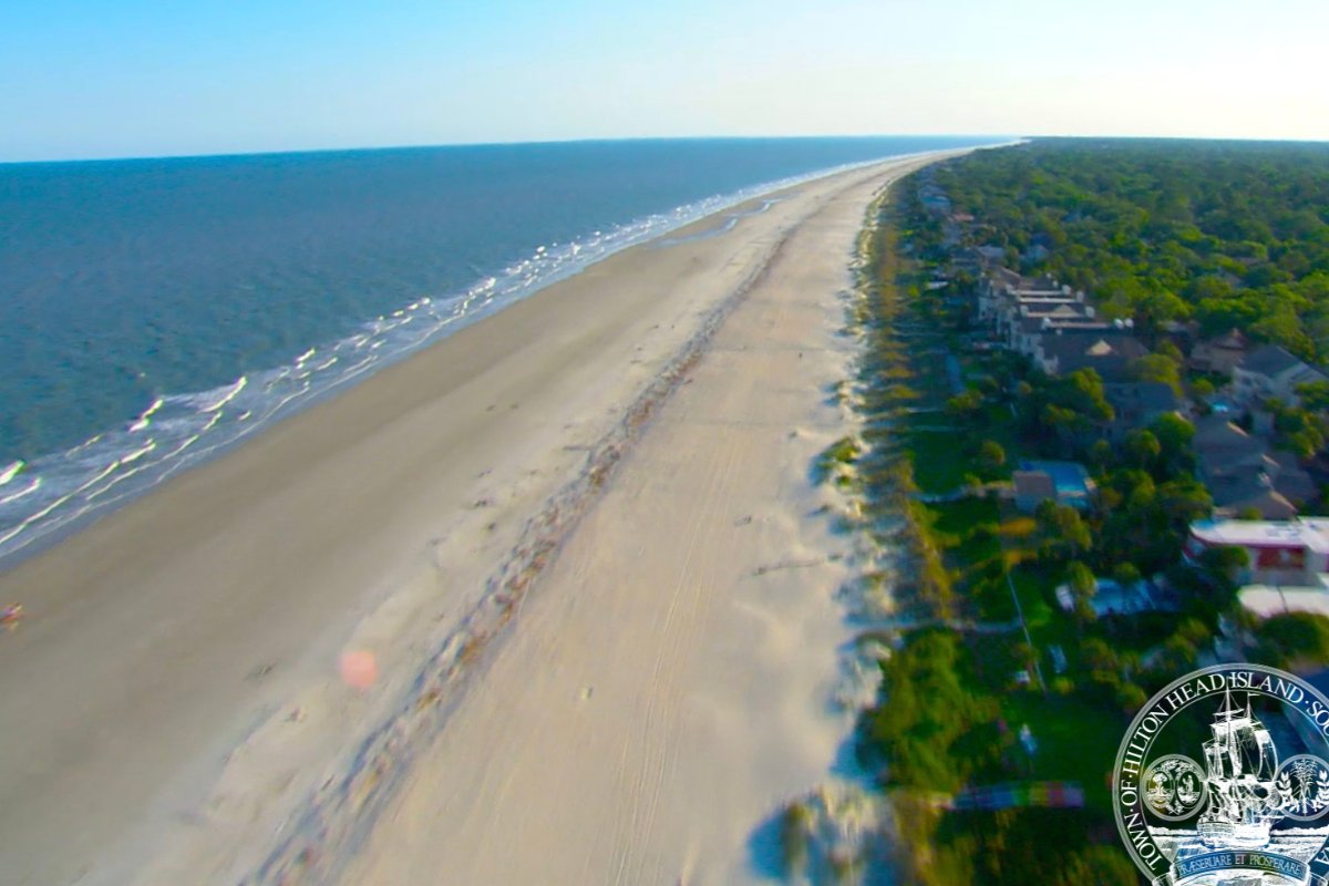 Hilton Head Island tweet media