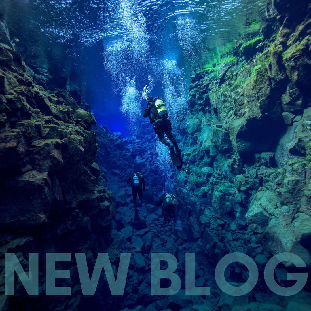 Dive Worldwide tweet media