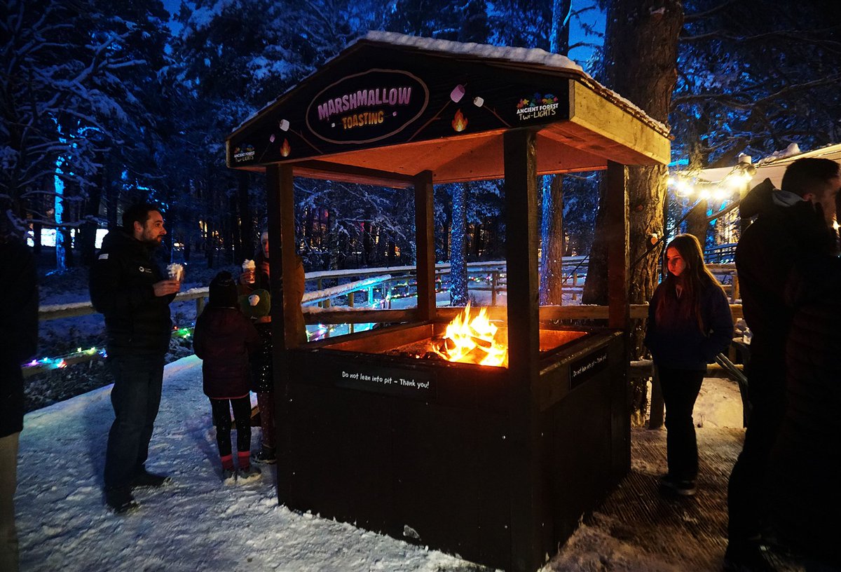 LandmarkParkUK's tweet image. 🔥 Get ready for some toasty fun at Ancient Forest Twi-LIGHTs! 🔥
From 8 -19 Feb, 6-8 PM, head to Landmark Park &amp;amp; enjoy our Marshmallow Pit, roasting marshmallows &amp;amp; making s’mores under the magical forest lights! 🌲🍡✨
Tag your roasting crew! 🍫🔥 
#LandmarkTwiLIGHTS #SmoreFun