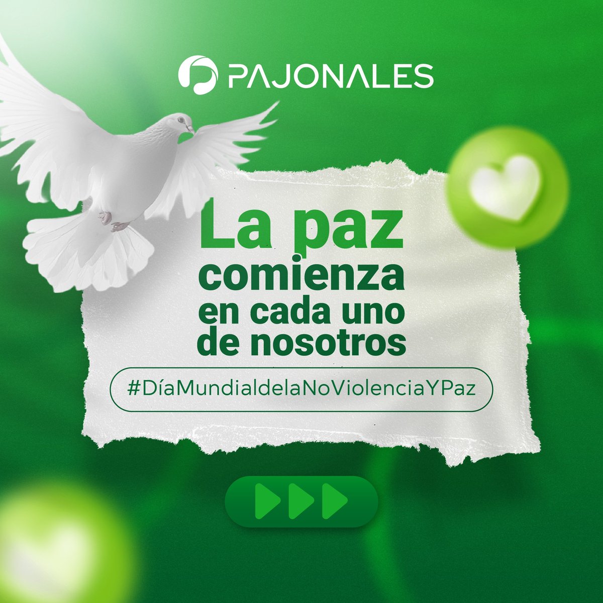 OrgPajonales's tweet photo. En este Día Mundial de la No Violencia y Paz recordamos que cada acto de respeto, empatía y diálogo es un paso hacia un mundo mejor. 

.

.

#DíaDeLaPaz https://t.co/BYPRF13tpS
