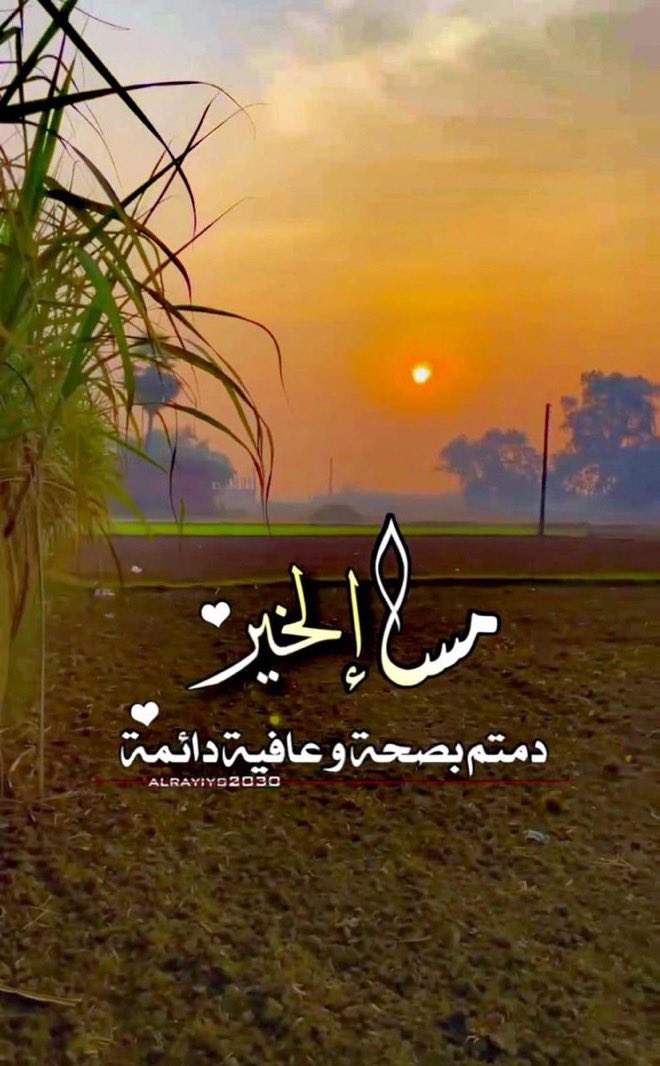 جوزيف🇸🇦 tweet media