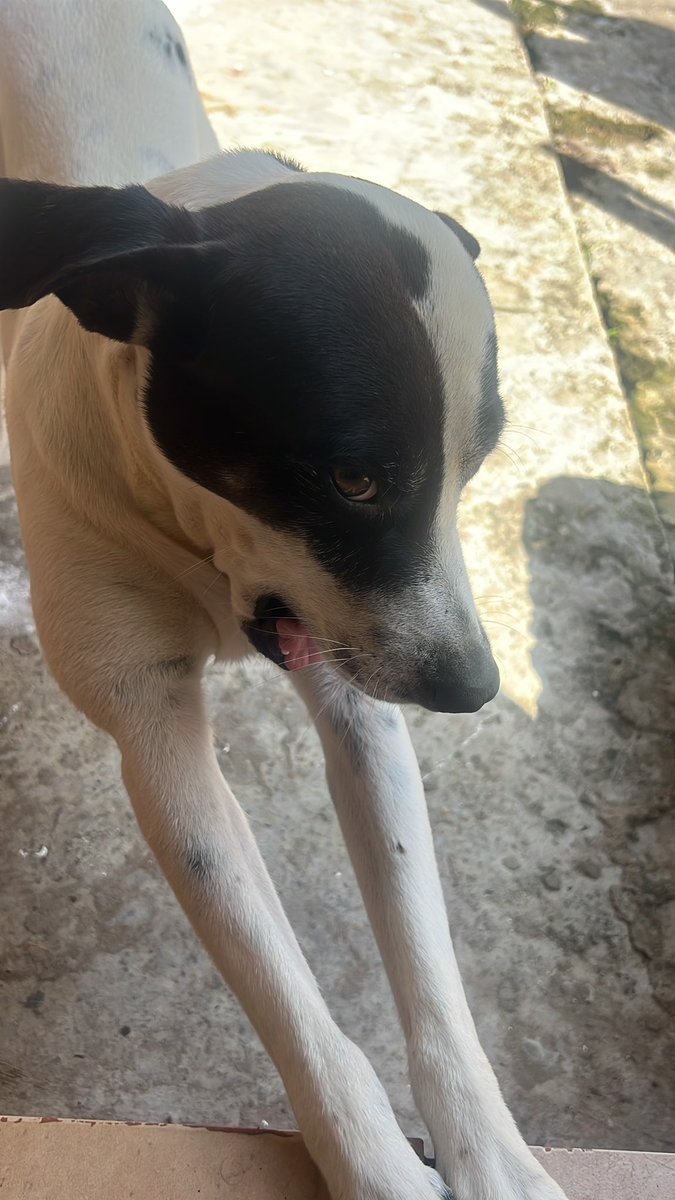 So my granny feeding you shrimp for breakfast 🙄🙄🙄🙄 #Spoilt